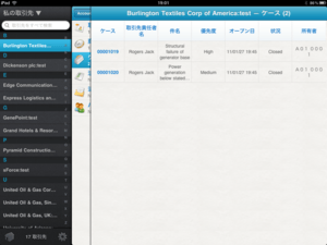 Account Viewer for iPad 関連リストのレコード
