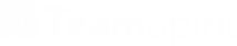 株式会社チームスピリット